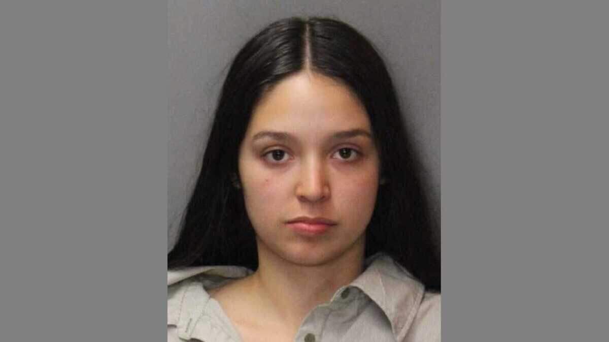 Christina Diaz, 19, was charged with four felony counts related to a hit-and-run crash that happened on Greenback Lane near San Juan Road in Citrus Heights on Tuesday, Oct. 9, 2018, killing Andrey Tagintsev, a 45-year-old Citrus Heights man.
