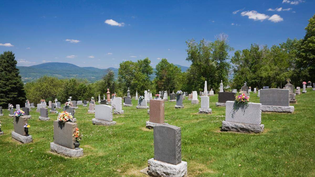 Assembly Bill 528, introduced by Assemblywoman Jacqui Irwin, a Southern California Democrat, would allow public and private cemetery to create a separate section where pets can be buried with their owners.