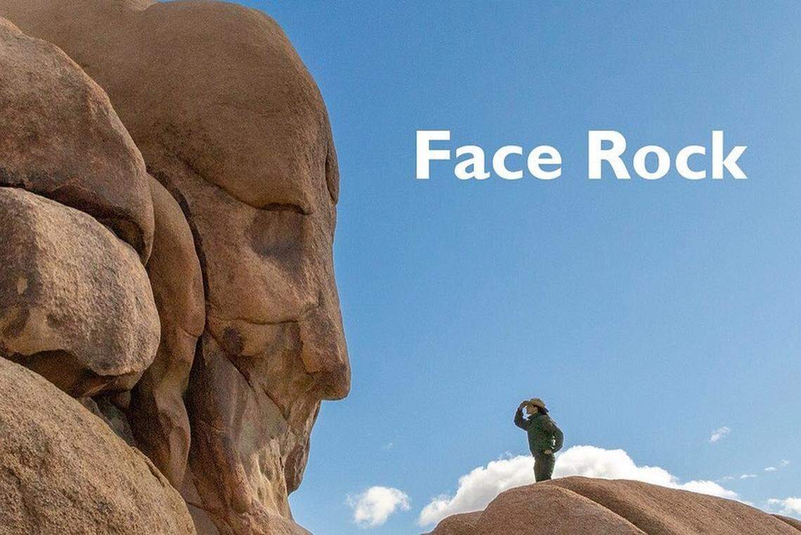 Face Rock at Joshua Tree National Park in California