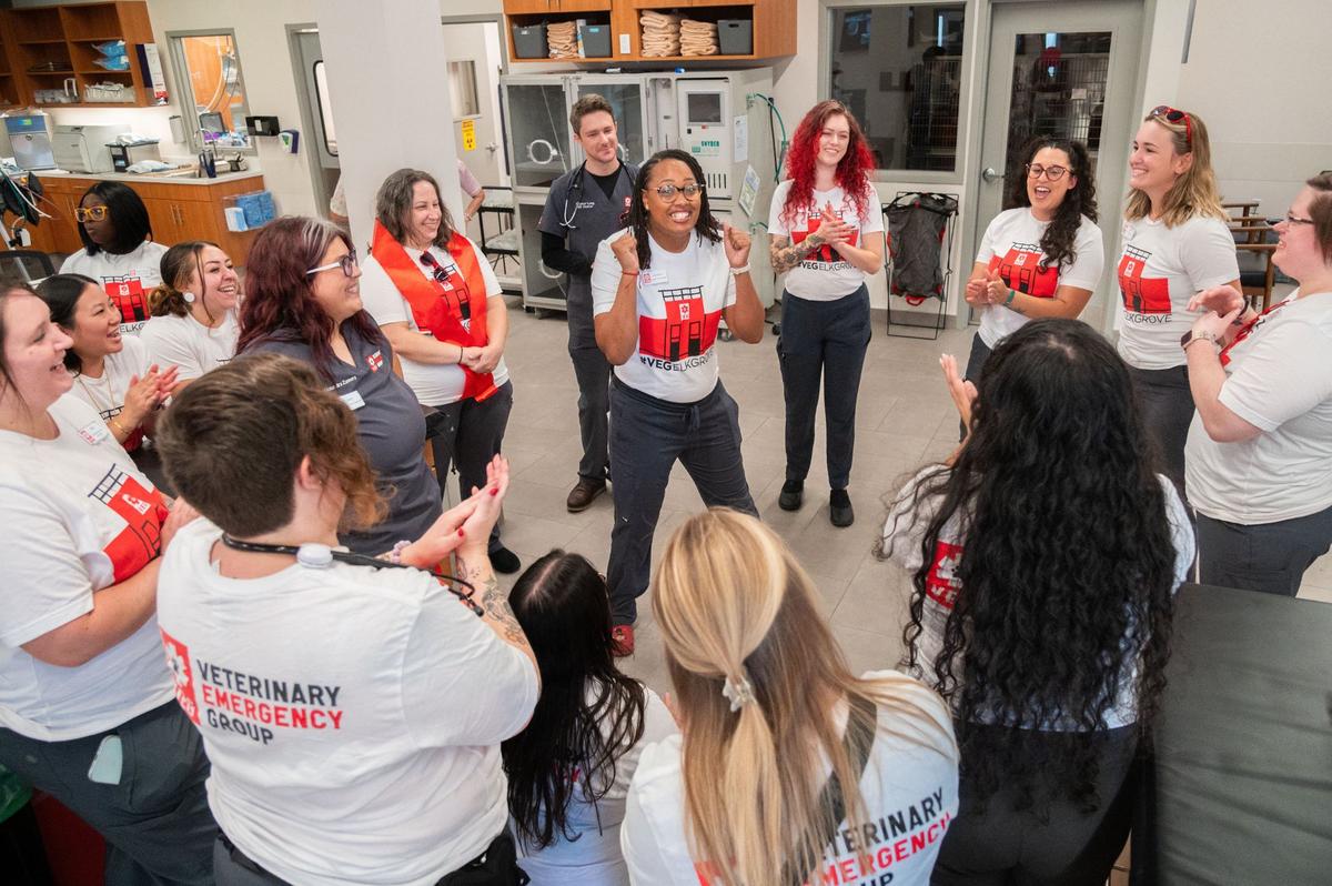 Hospital Training Manager Courtney Harris, center, checks in with Veterinary Emergency Group employees during the new hospital’s grand opening in Elk Grove on Wednesday. “They’re coming together from different places, but they’re literally a family once they’re here,” Harris said.