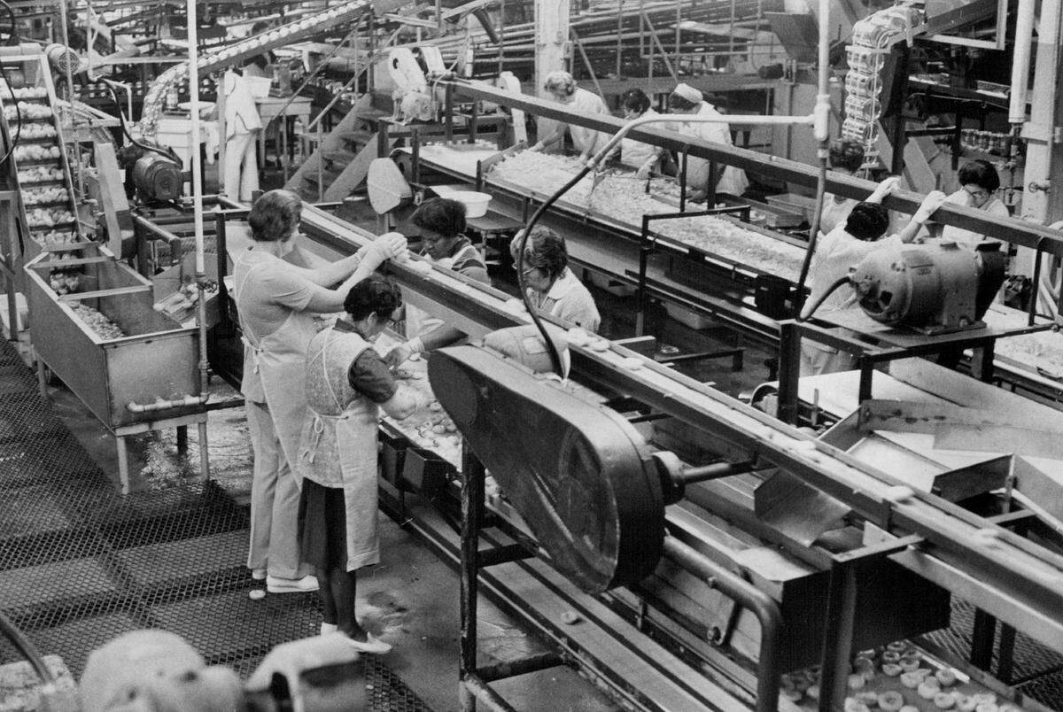 Workers at Bercut-Richards Packing Company in Sacramento, which was once the largest independently owned cannery in California. It went under the wrecking ball in June 2010, making way for the Township 9 development, including Cannery Place at 601 Cannery Avenue.