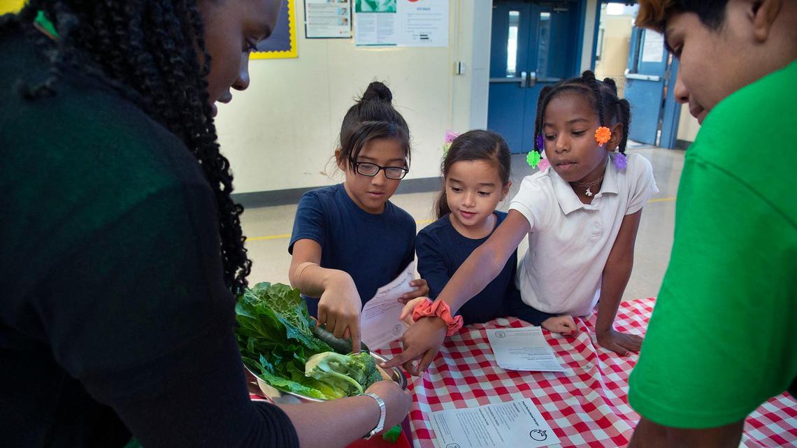 Public health literacy should be cultivated in schools much the same as food literacy is shared with youngsters here.