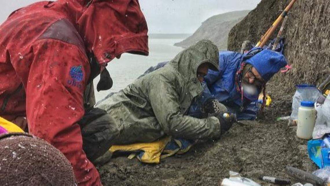 Fossils of a tiny “ice mouse” have been found “at the ends of the Earth” in Alaska, according to a Colorado university.&nbsp;