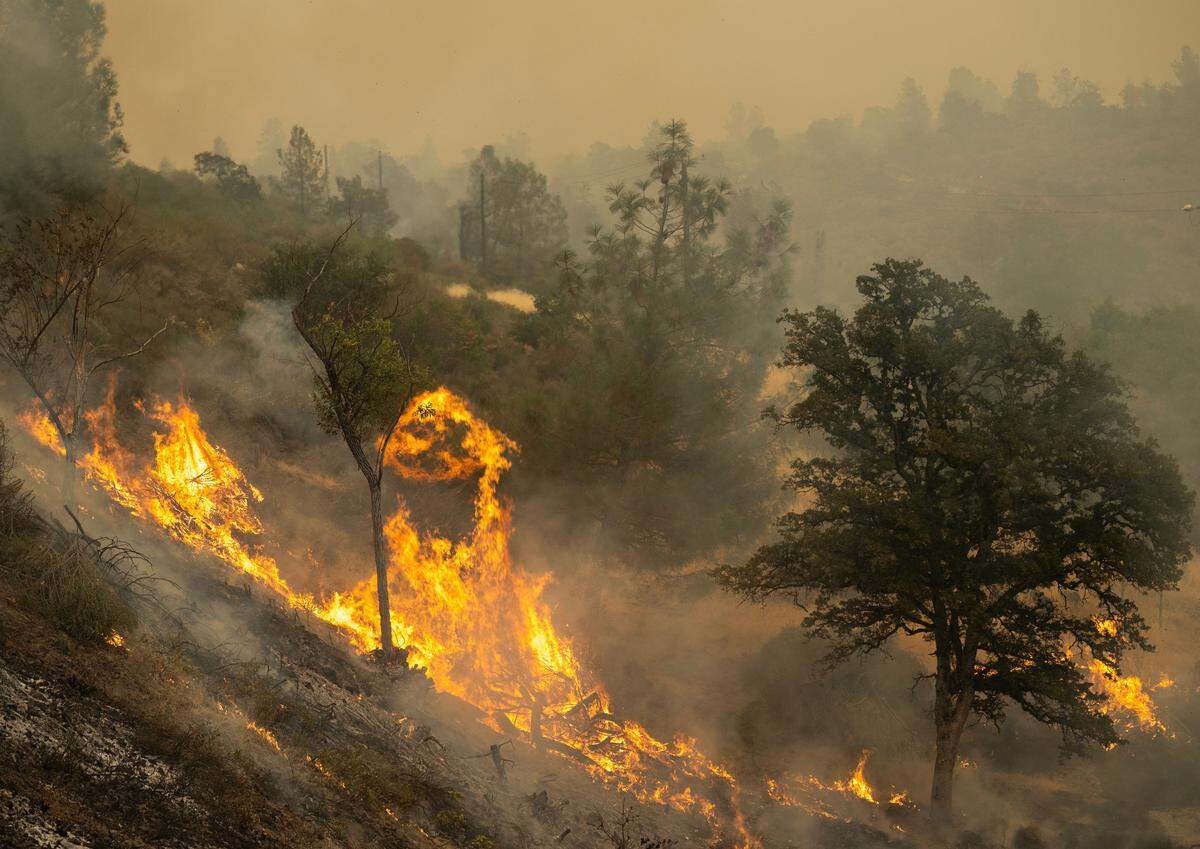 Flames climb an embankment off Highway 36, northeast of Red Bluff in Tehama County, during the Park Fire on Saturday.