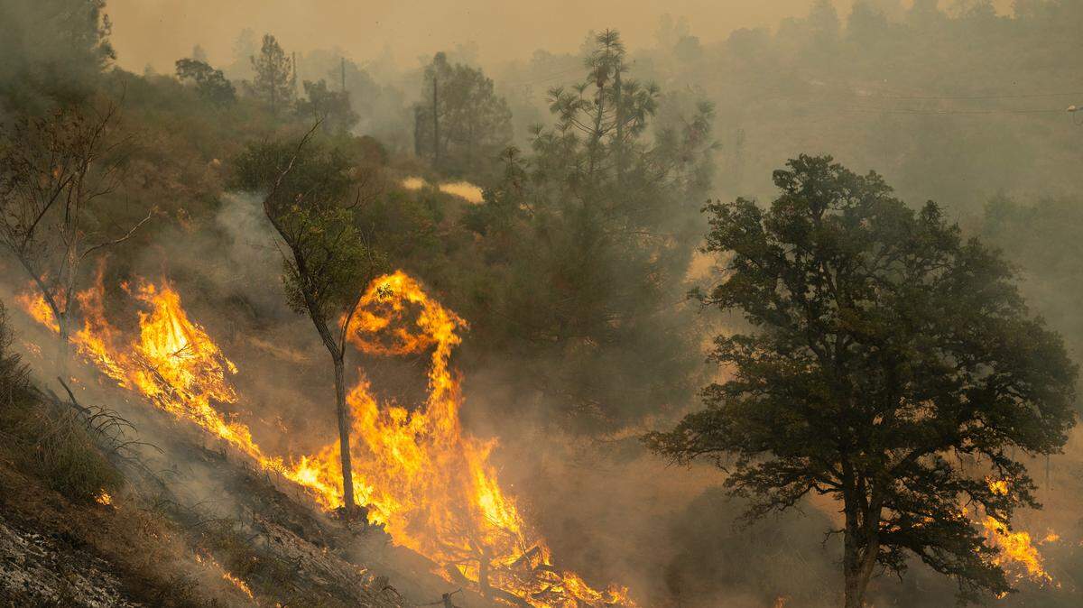 Flames climb an embankment off Highway 36, northeast of Red Bluff in Tehama County, during the Park Fire on Saturday, July 27, 2024. A 49-year-old man who pleaded no contest to burglary and other charges was sentenced to more than three years for stealing Cohasset resident’s Jeep and other belongings.