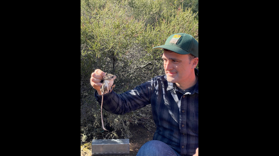 Biologist Matt Sharp Chaney holds a Santa Cruz Kangaroo rat.