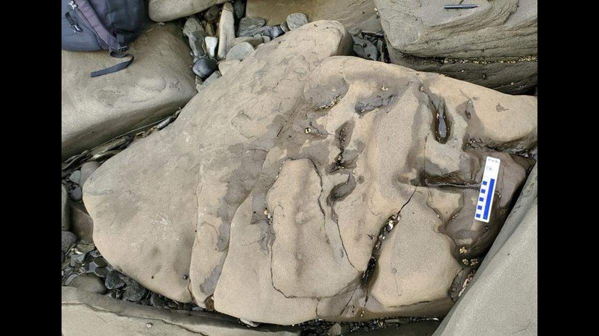 The National Park Service shared a photo of a colossal footprint found at Aniakchak National Monument in Alaska.