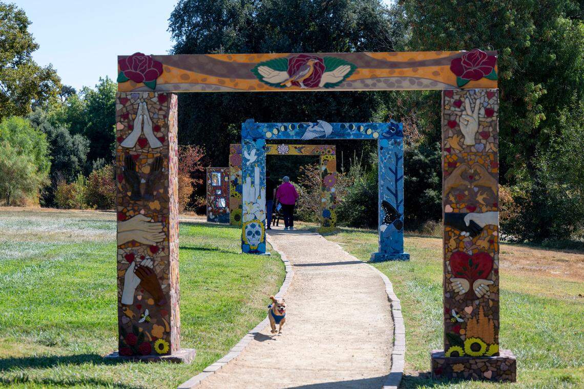 A chihuahua named Mr. Doggy Dog runs down a path featuring four portals of home, community, loss, and hope at the Davis Cemetery District’s COVID-19 Memorial on Sunday.