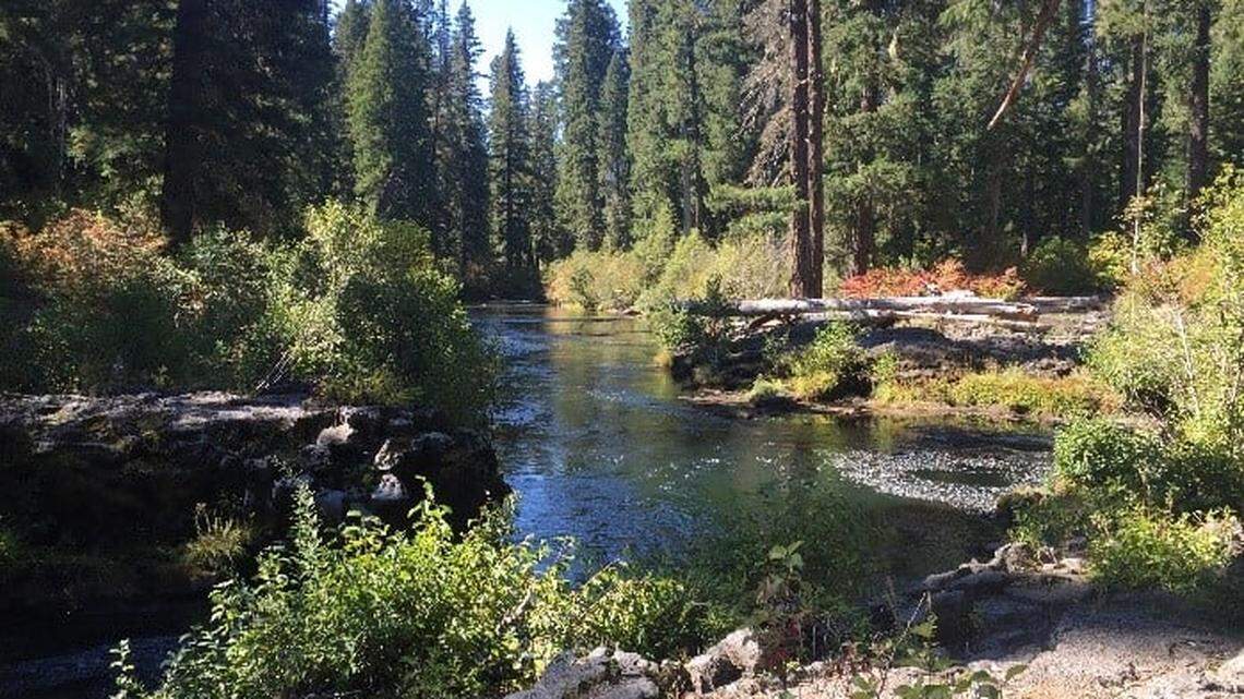 A 61-year-old man evaded deputies on Oct. 10, 2021, in Grants Pass, Oregon, after they responded to a trespassing report, officials say. He jumped into the Rogue River and his body was found weeks later, deputies say.