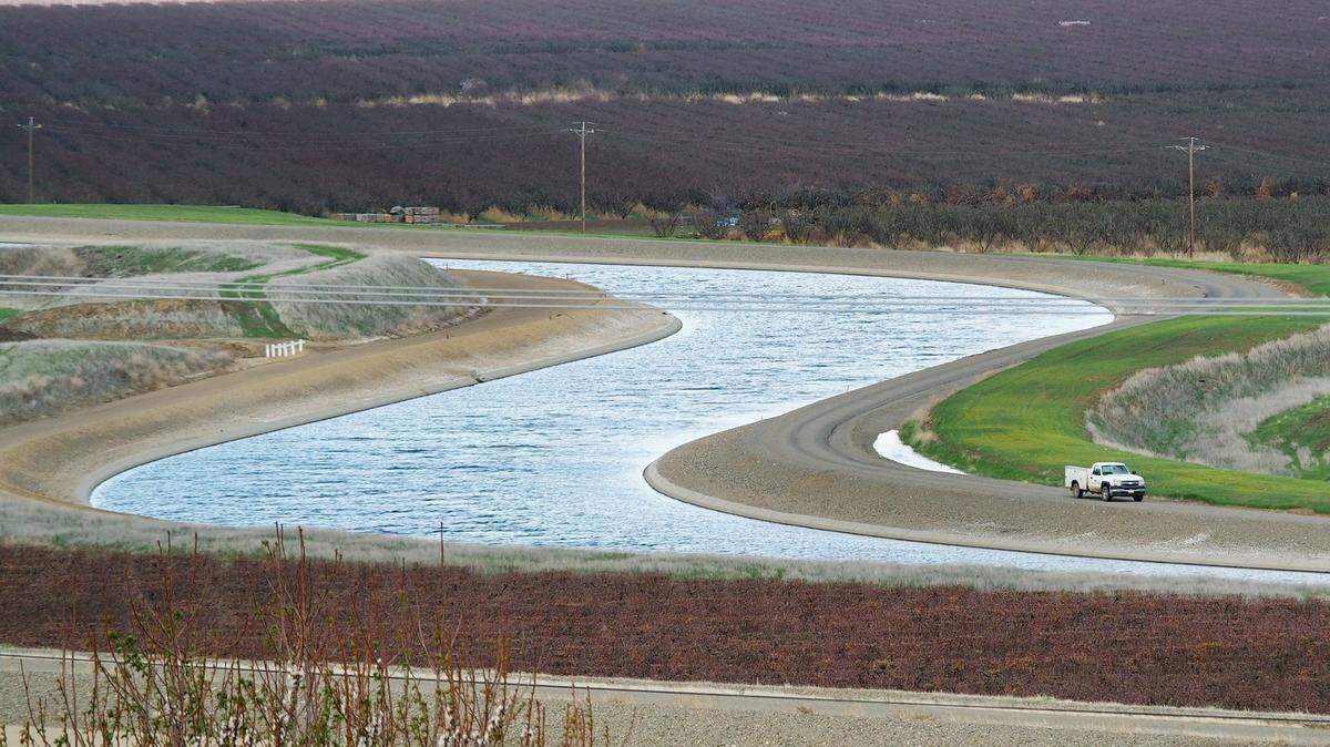 The Delta-Mendota Canal winds through orchards near Westley and Patterson.