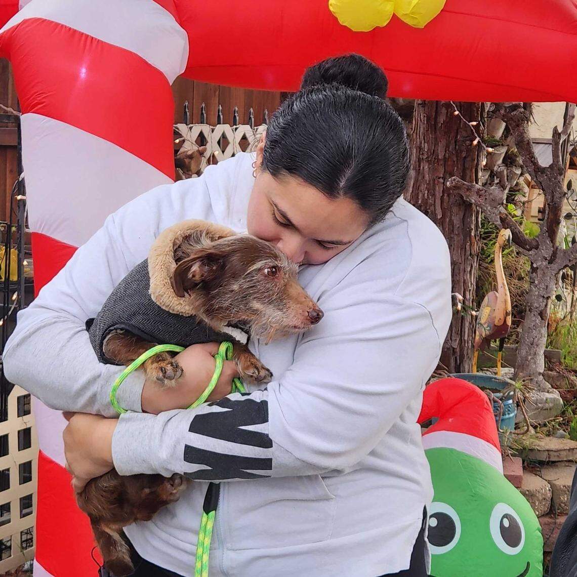 Patricia Orozco sits with Choco nearly five years after he vanished from her yard in May 2021. Choco was found in Lincoln, Mich., about 2,300 miles from home, and was flown back with the help of rescue volunteers and donations.
