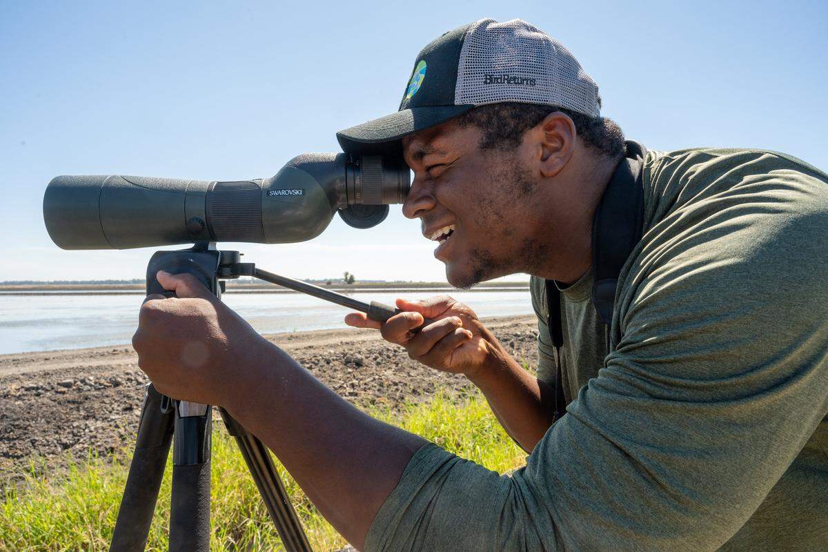 Drake Stallworth, an avian monitoring field technician with The Nature Conservancy, peers through a scope to identify shorebirds at Darby Point in Yolo County on Aug. 22.