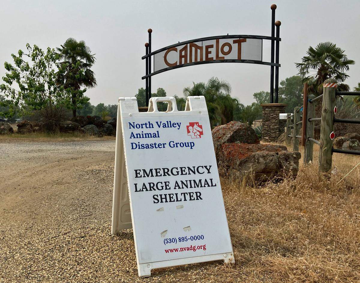 The North Valley Animal Disaster Group brings rescued animals to the Camelot Equestrian Center in Oroville. It has been active during the recent Park Fire in July 2024.