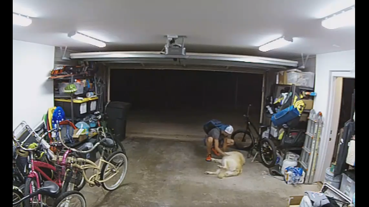 As the man started walking away from a California home with a stolen bicycle, he paused to pet the house’s dog, police said.