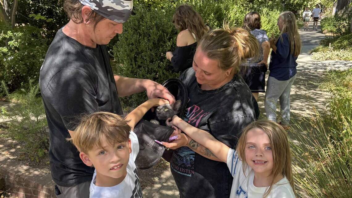 Their cat was stuck in a Sacramento tree for 21+ hours. How it was saved