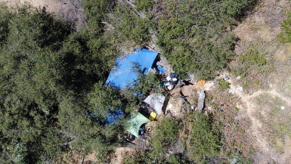 The tents of a homeless encampment are concealed deep within the Willow Creek sensitive habitat area, managed by the California Department of Fish and Wildlife, in Folsom on Friday. Camps on state-owned land would be directly affected by Gov. Gavin Newsom’s new executive order.