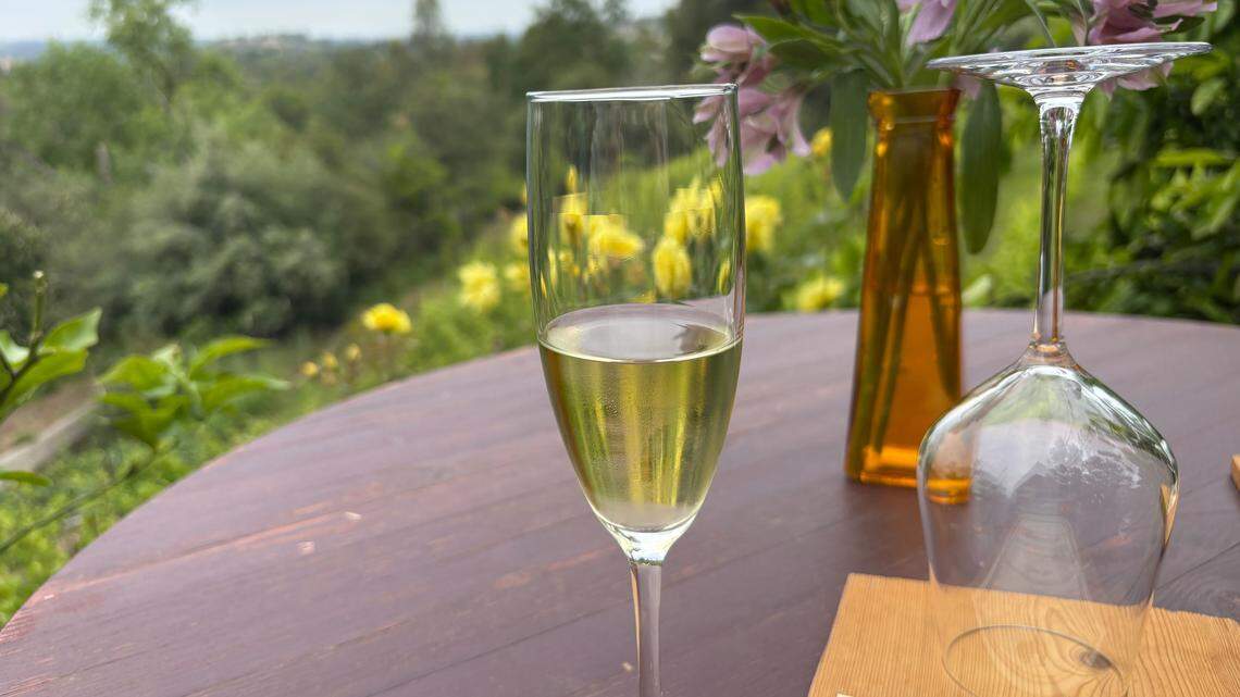 Placer County wine tasting and charcuterie for only $25? Here’s where we tried it