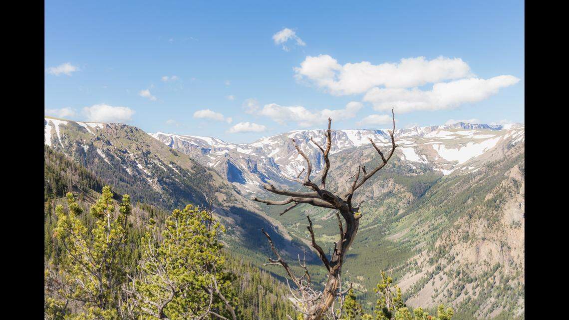 A climber died as rescuers tried to reach him after his head was “struck by falling rocks,” according to a Wyoming sheriff’s office.