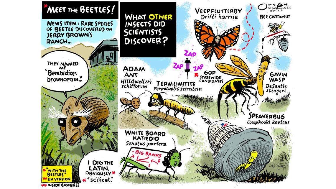 It’s former California Gov. Jerry Brown. Wait, it’s a beetle, and other imaginary insects | Opinion