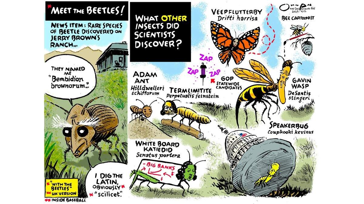 Scientists discover a long-lost species of beetle at former Gov. Jerry Brownâs ranch.
