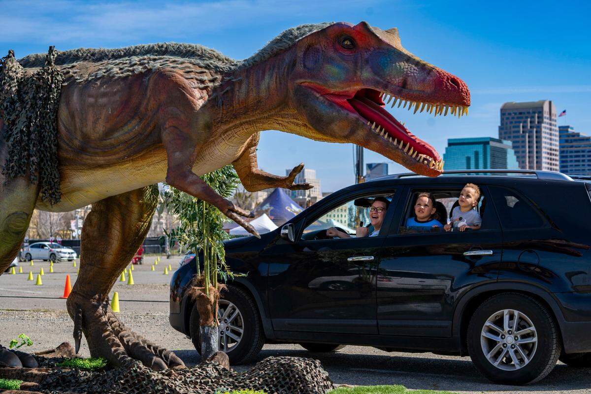Kortnei Hamilton of Gridley looks out the car window with her kids Hanlyn, 4, Sabyn, 3, and her husband Marcus, to get an up-close look at a Qianzhousaurus at Jurassic Quest, a drive-through dinosaur exhibition that opened in West Sacramento on Friday in the parking lot of Sutter Health Park.