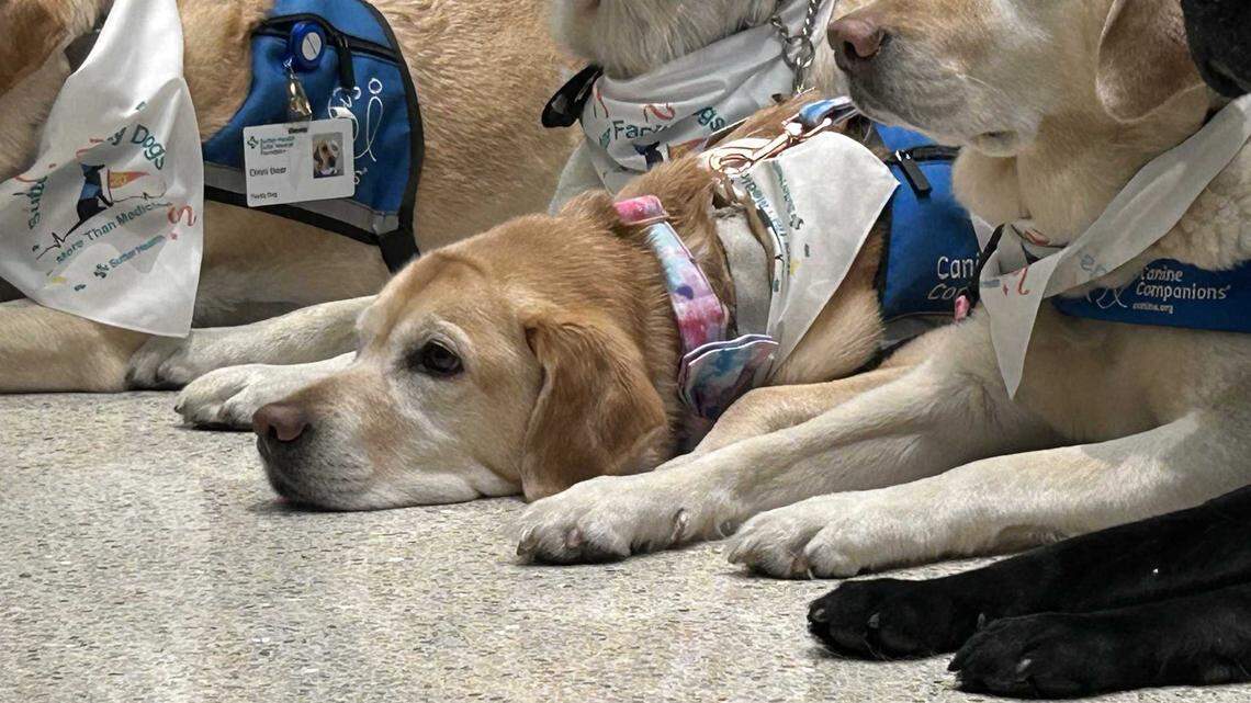 Sutter Health honored all 12 Canine Companions at their event as the hospital celebrated the 20th anniversary of their Sutter Facility Dogs program on Wednesday, Aug. 9, in Sacramento.