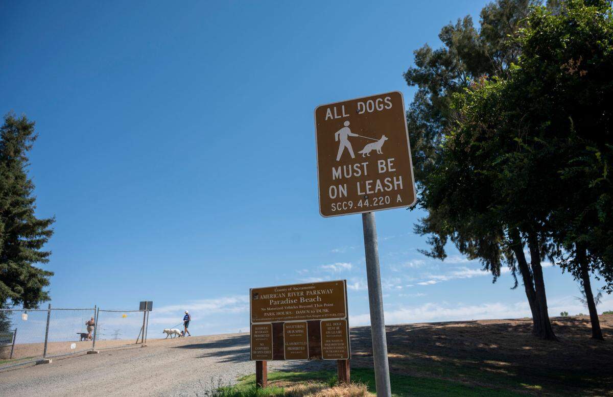 A Sacramento County sign reminds dog owners to keep their pooches on a leash on the walk to Paradise Beach on the American River Parkway at Glenn Hall Park in Sacramento’s River Park neighborhood Saturday.