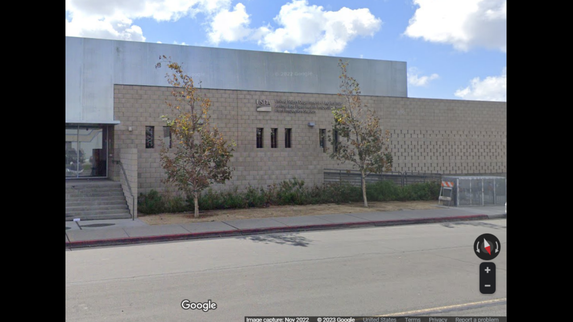 An “unusual” stowaway was found on a shipment of fresh celery to California, according to a federal agency. 