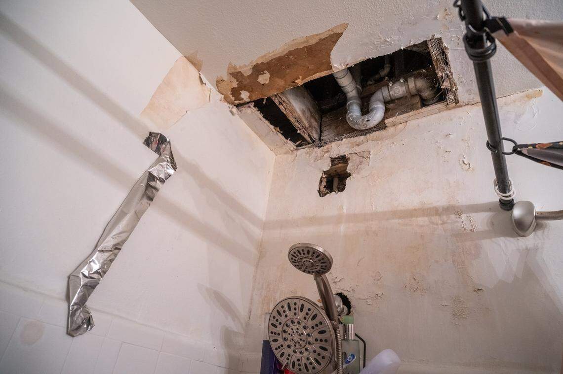 A tenant at the Palms Apartments says she’s worried debris will fall on her from a hole in the ceiling over her shower. Tenants complain about bug and rodent infestations, faulty electrical systems, mold and lack of functioning heat and air conditioning.