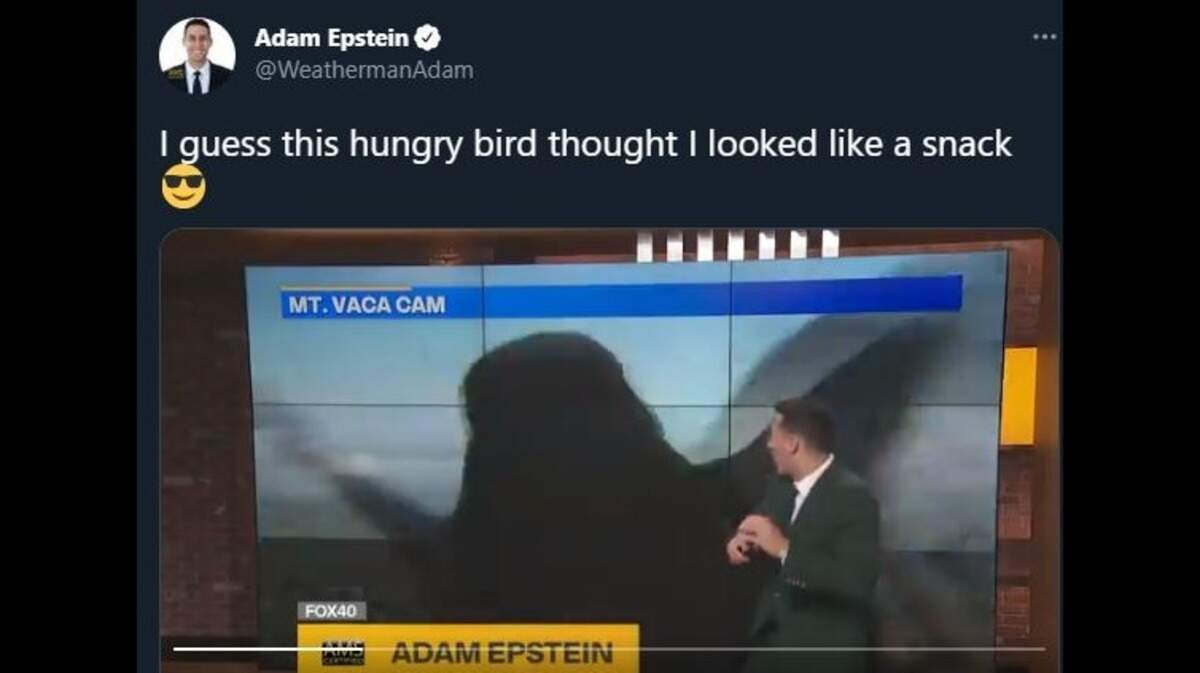 Fox 40 meteorologist was startled when a bird got too close to the station’s Mt. Vaca camera during a live forecast Friday, April 23, 2021.