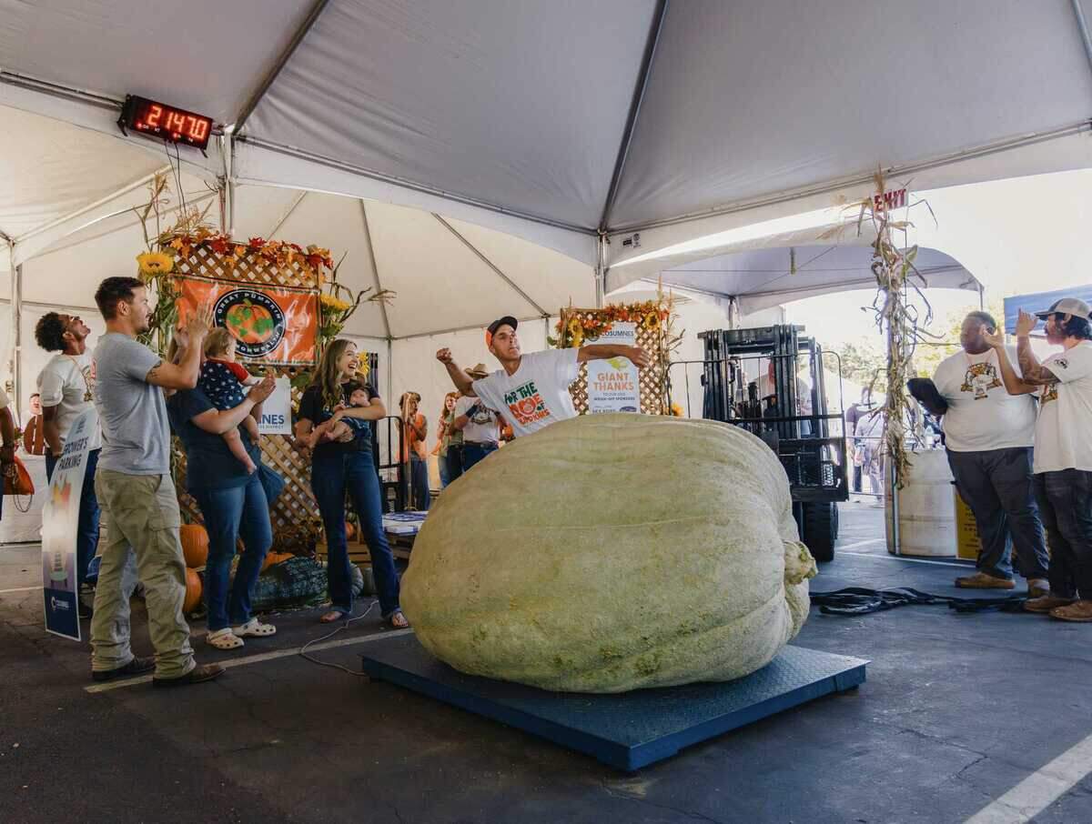 Brian Werner reacts as his pumpkin tips the scale at 2,147 pounds on Saturday, Oct. 4, 2025, at the Elk Grove Giant Pumpkin Festival. Werner said growing giant pumpkins challenges him mentally and brings him closer to his family.
