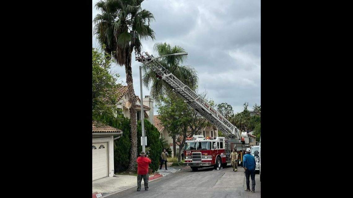 A tree trimmer could not get down from a 60-foot palm tree in Spring Valley after cutting his hand with a chainsaw, California firefighters say.