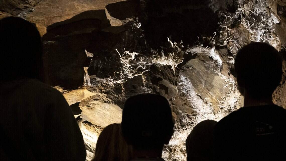 Rare formations, cool temps: Why Northern CA’s caves are a top summer adventure