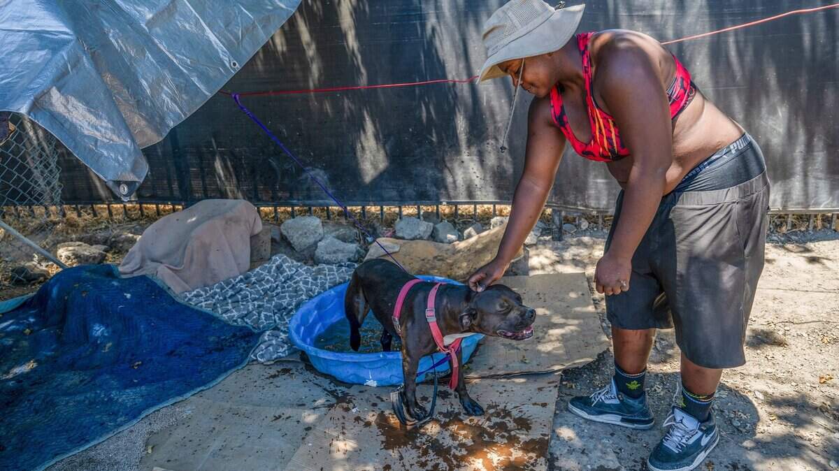Alaytreya Gregory, 31, created a splash pool for her dog Mississippi, 2, and other dogs that belong to the homeless community at Camp Resolution, a self governing homeless encampment, to cool off from the debilitating heat on Monday, July 1, 2024. She is concerned for all the animals at the encampment and worried how they will survive after the county shut down the delivery of water.