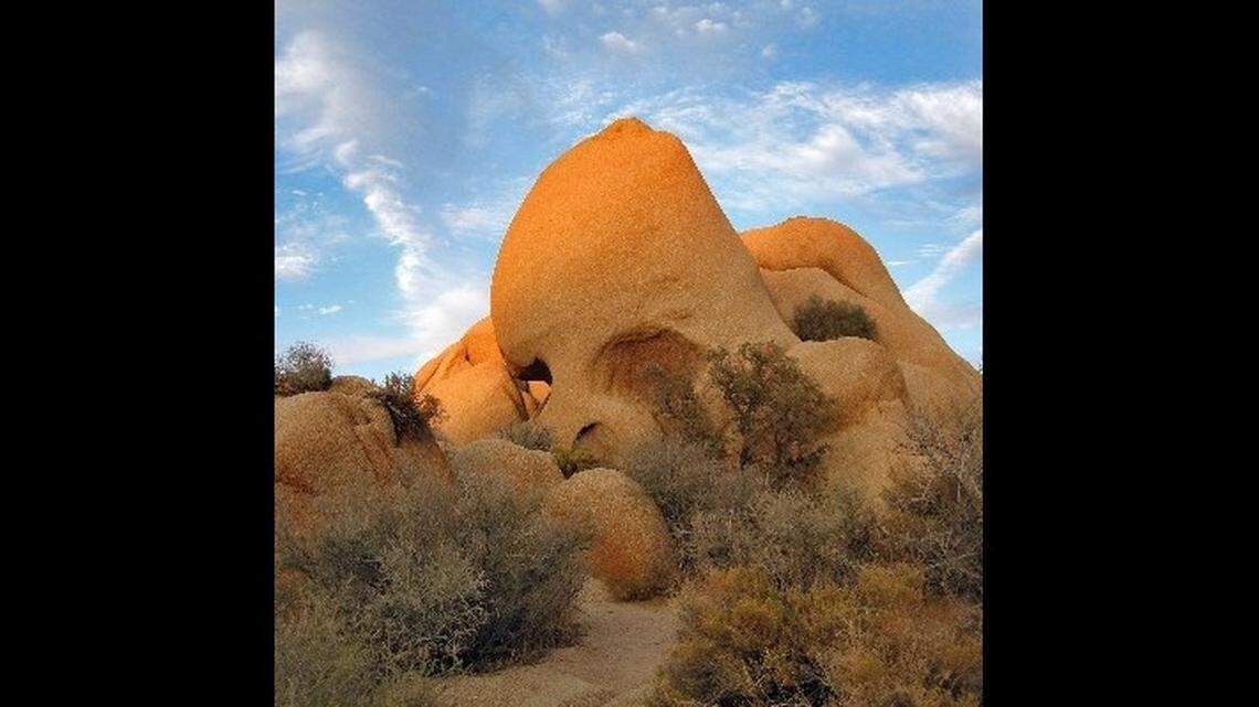 Shapes hide in desert of California’s Joshua Tree National Park. How many do you see?