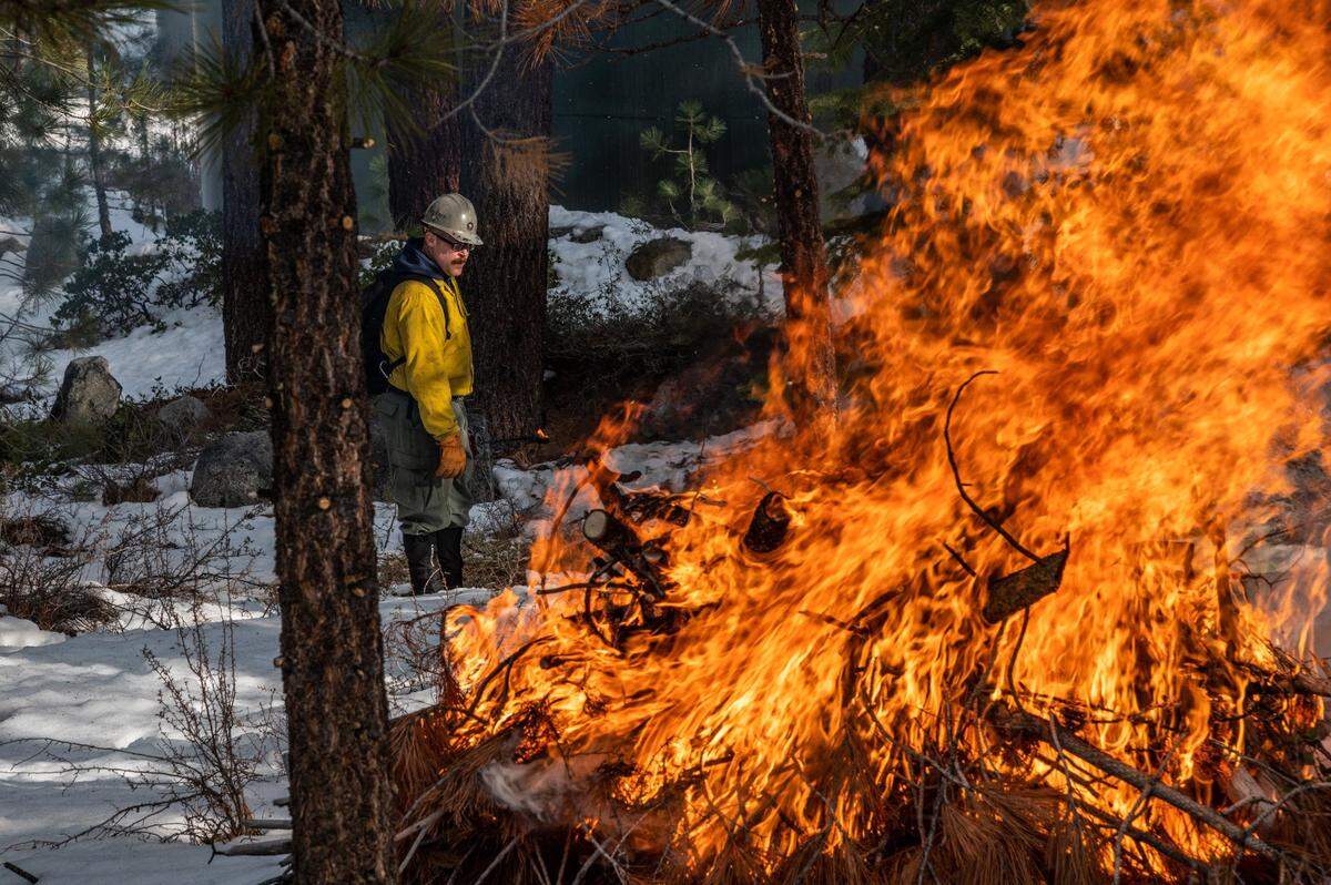 After setting a prescribed burn pile on fire, firefighter Mike Wicks stands guard at Van Sickle Bi-State Park near South Lake Tahoe in February 2021. “This material was cut and piled two seasons ago and now we came – back when conditions are right to come and burn it,” said Milan Yeates, forest management coordinator at the California Tahoe Conservancy.
