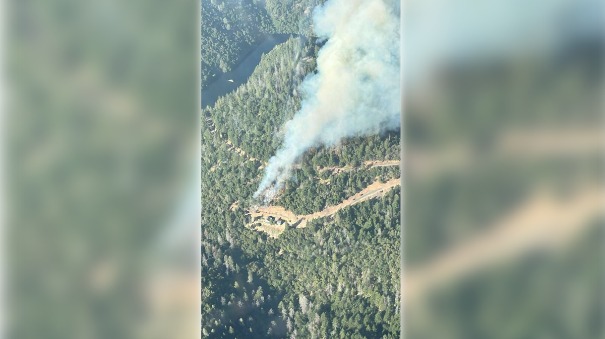 Fire crews responded to a fire Wednesday, June 3, 2026, north of Placerville near Holland Drive in El Dorado County.