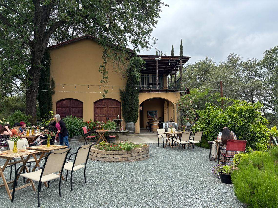 Guests at Cristaldi Vineyards gather at tables on the winery’s “piazza,” with floral flourishes and dainty string lights setting a homey, inviting ambiance.
