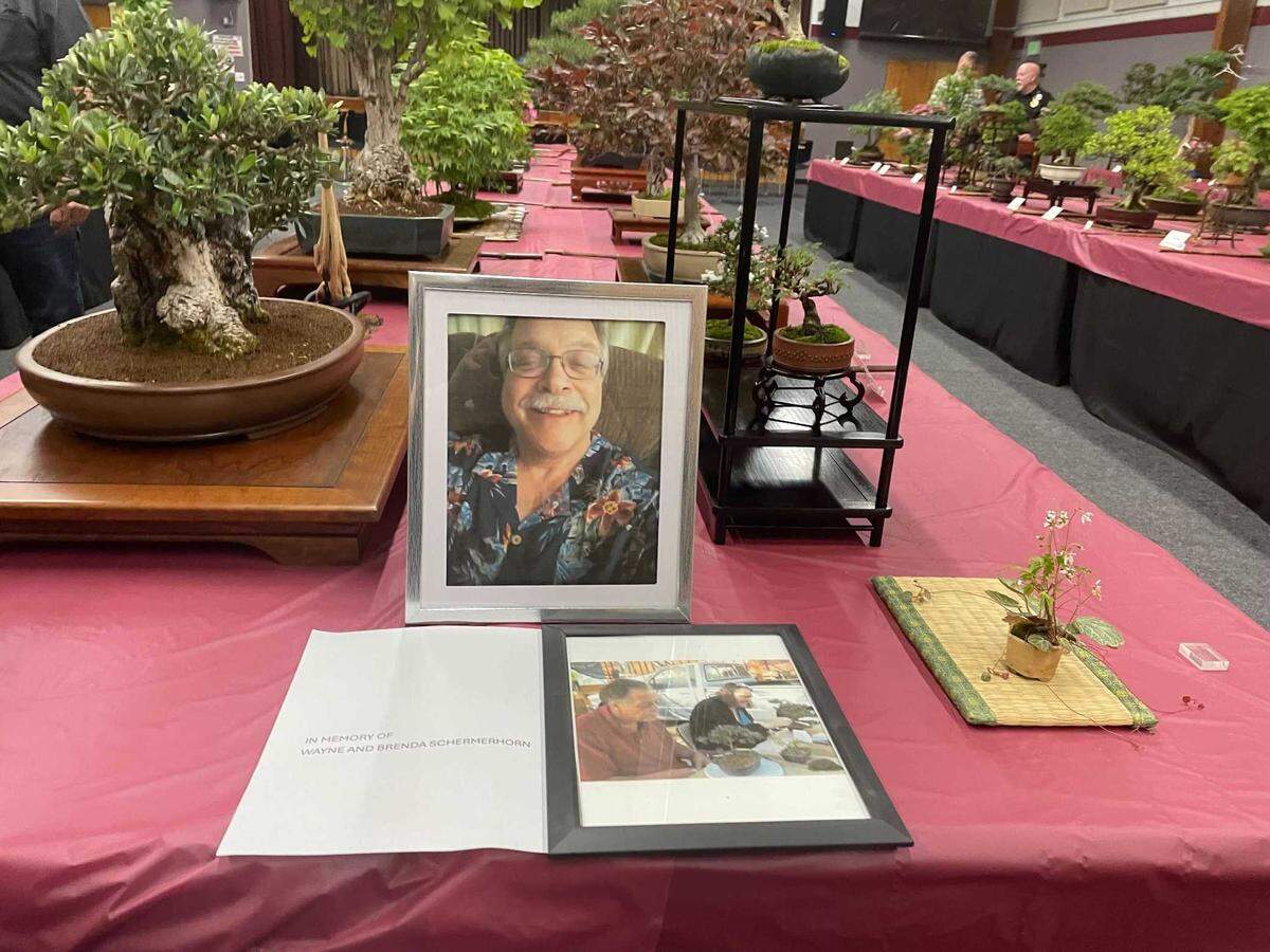A memorial for Wayne and Brenda Schermerhorn, former members of the Sacramento Bonsai club, at the organization’s 79 annual show. Lucy Sakaishi-Judd, the club’s president, said members are caring for their trees today.
