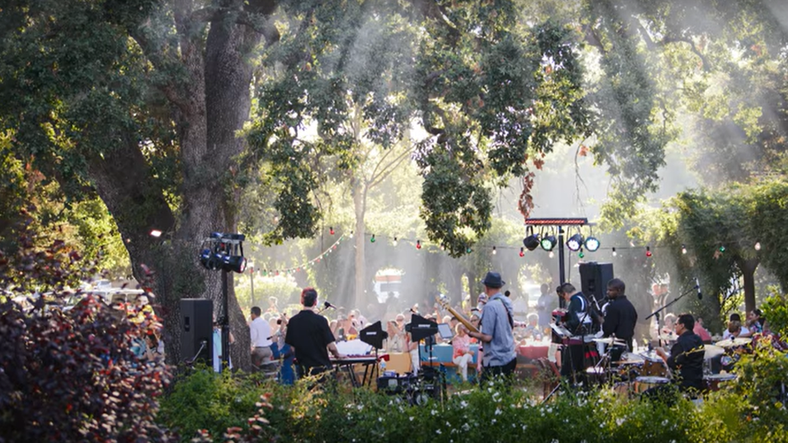A 275-year-old oak tree toppled in California’s wine country during a storm.
