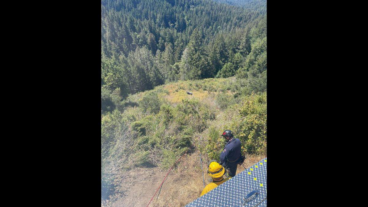 A driver plunged 250 feet down an embankment in the La Honda area in California on Aug. 22, 2022, fire officials said. He was found the next day.