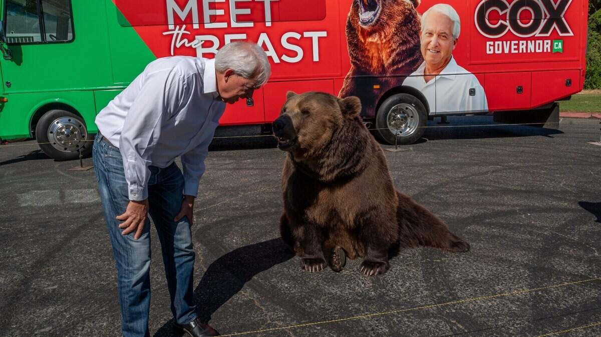 John Cox, Republican recall candidate for California governor, begins his statewide “Meet the Beast” bus tour on Tuesday, May 4, 2021 with Tag, a Kodiak brown bear, at Miller Regional Park in Sacramento. 


