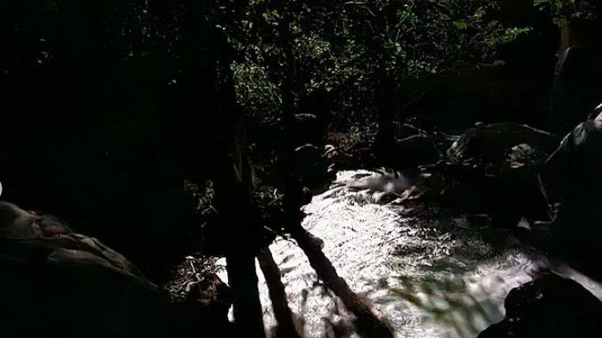 A man drowned after leaping from a waterfall in Mount Baldy on Sunday, June 4, officials said.