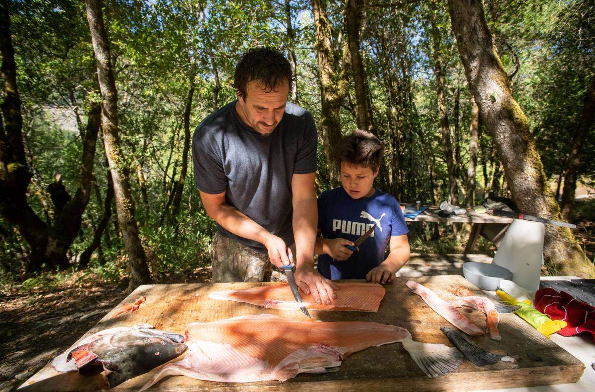 Jesse Coon Goodwin cuts salmon with his son, 8-year-old Ashuuk Goodwin, after other Karuk Tribe members caught several using traditional dip nets. “This is where we got our medicine … how we became such a great people,” Coon Goodwin said.