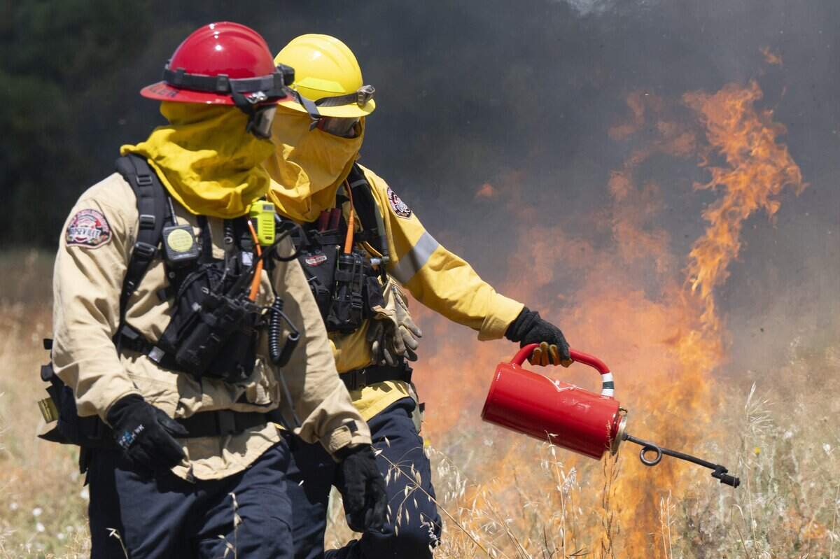 Firefighters use a torch during a prescribed burn near Dry Creek between 16th and 18th streets in Rio Linda on Tuesday. The burn was a collaborative effort that included the Sacramento Metropolitan Fire District, the Sacramento County Regional Parks Department and other agencies to remove invasive vegetation and to serve as a training opportunity.