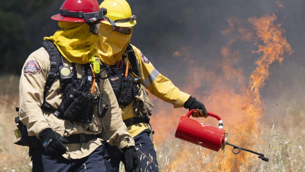 Firefighters use a torch to continue a prescribed burn near Dry Creek between 16th and 18th streets in Rio Linda on Tuesday, June 16, 2026. The burn was a collaborative effort that included the Sacramento Metropolitan Fire District, the Sacramento County Regional Parks Department and other agencies to remove invasive vegetation and to serve as a training opportunity.