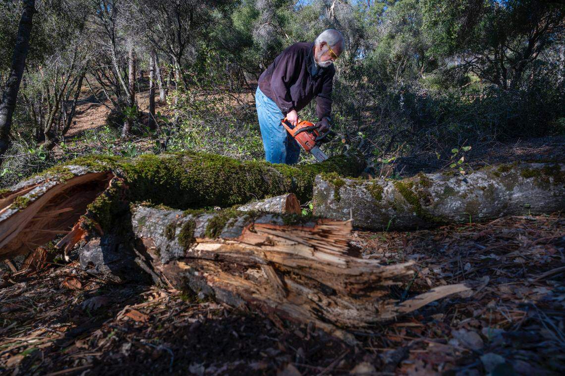 Tom Lorini, de 74 años, corta un árbol el jueves 6 de enero de 2022, que se cayó a causa de las recientes tormentas de nieve cerca de su casa de Grass Valley. Lorini y su esposa estuvieron sin electricidad durante más de cuatro días.