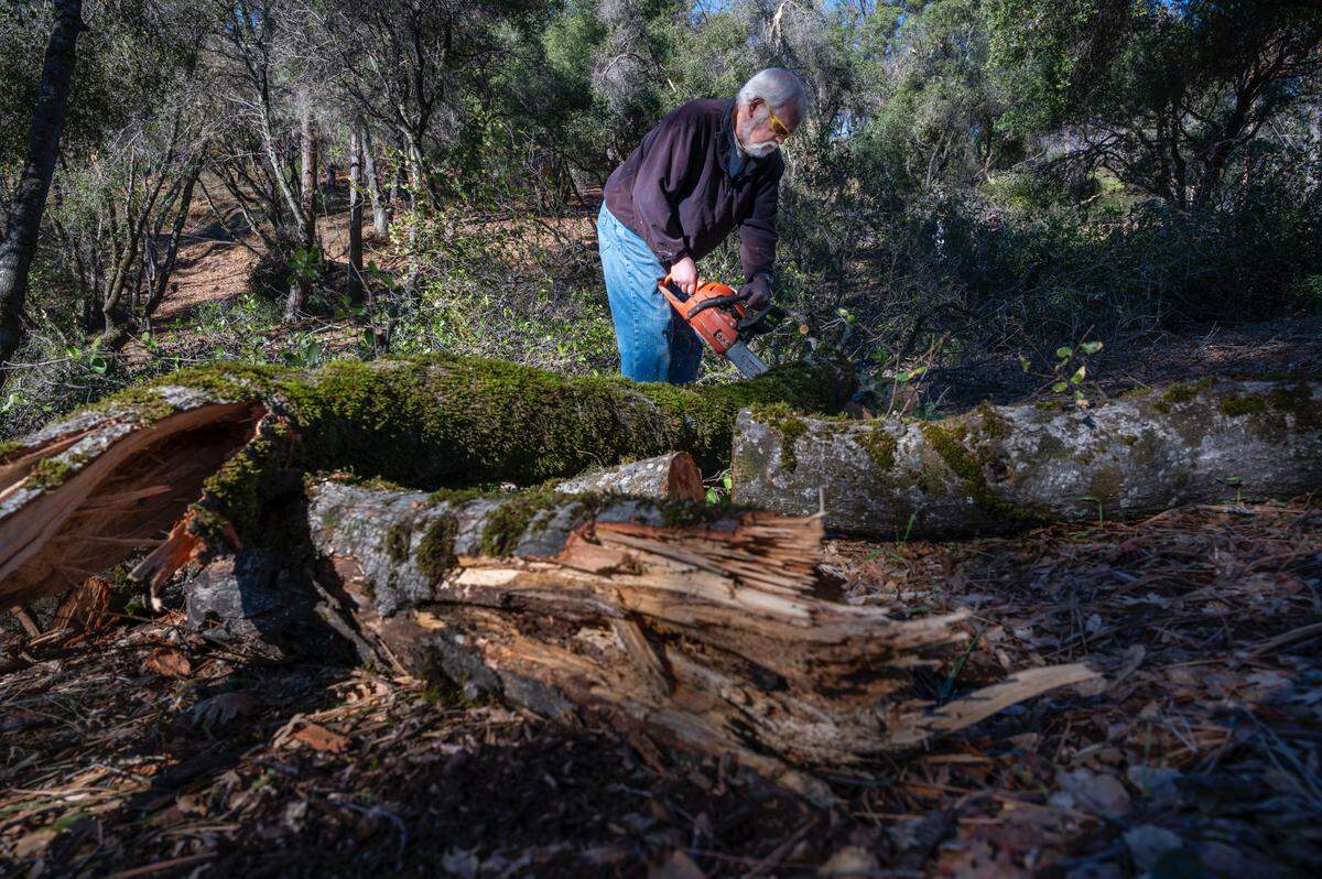 Tom Lorini, 74, cuts up a tree on Thursday, Jan. 6, 2022, that fell because of recent snow storms near his Grass Valley home. Lorini and his wife where without power for more than four days.
