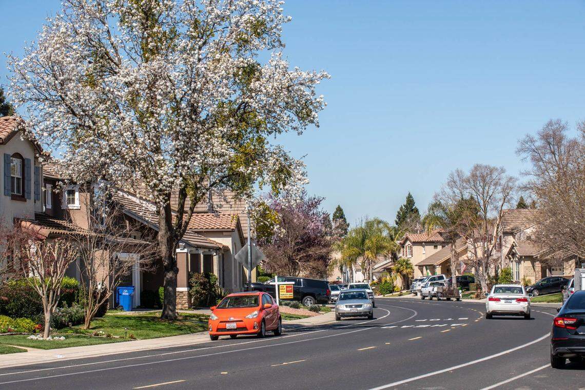 Elk Grove seen on March 16, 2024.