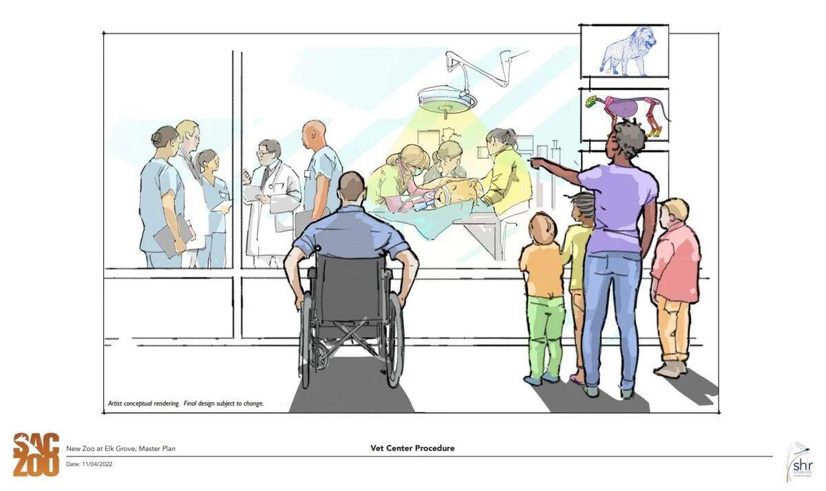 A conceptual rendering released in November 2023 by Sacramento Zoological Society shows a vet center procedure at the proposed relocated zoo in Elk Grove.